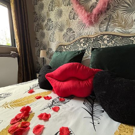Romantisme Et Glamour Avec Spa ,Jardin Proche Zenith ديجون المظهر الخارجي الصورة