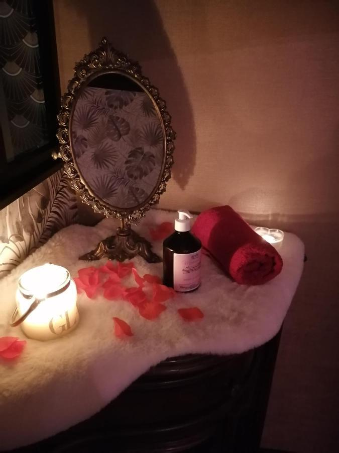 Romantisme Et Glamour Avec Spa ,Jardin Proche Zenith ديجون المظهر الخارجي الصورة